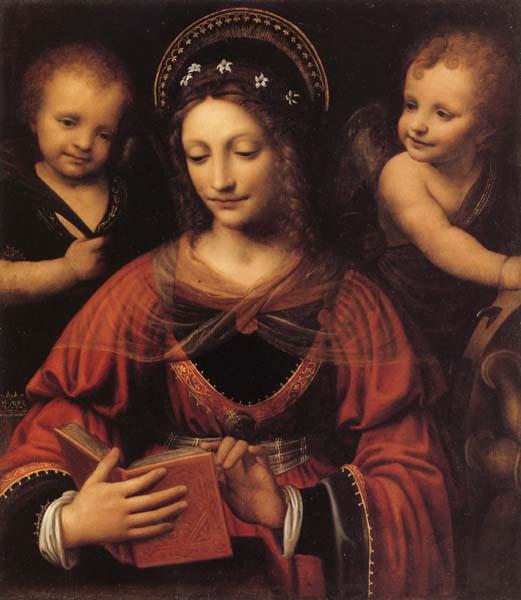 LUINI, Bernardino St.Catherine Germany oil painting art